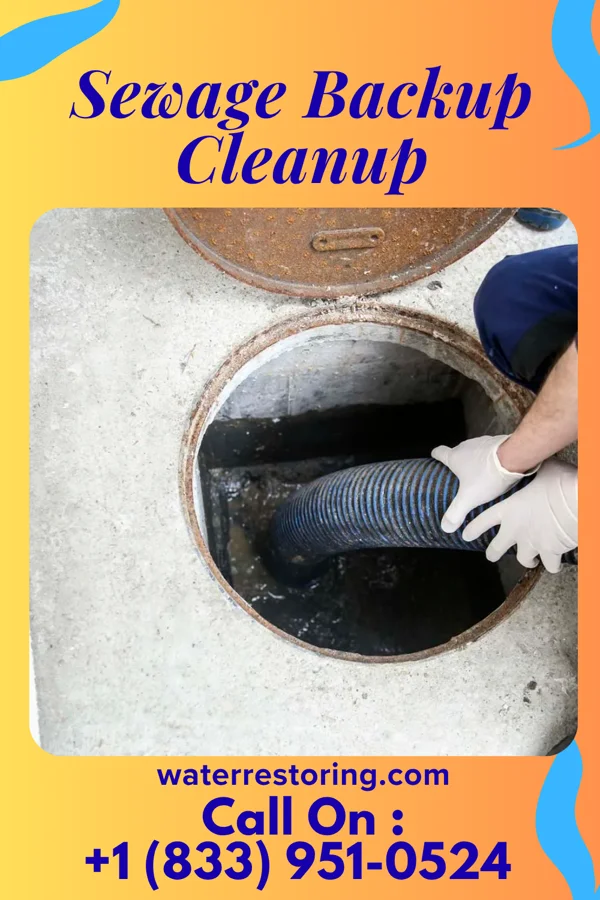 Sewage Backup Cleanup in Oconto Falls, WI